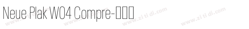 Neue Plak W04 Compre字体转换